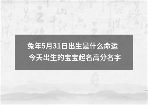 兔年5月31日出生是什么命运 今天出生的宝宝起名高分名字