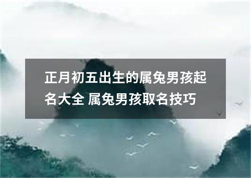 正月初五出生的属兔男孩起名大全 属兔男孩取名技巧