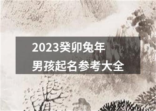 2023癸卯兔年男孩起名参考大全