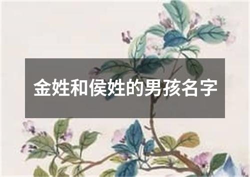 金姓和侯姓的男孩名字