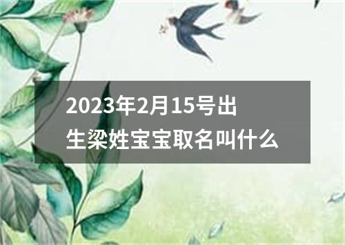 2023年2月15号出生梁姓宝宝取名叫什么
