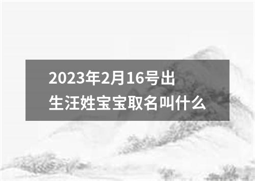 2023年2月16号出生汪姓宝宝取名叫什么
