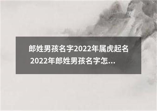 郎姓男孩名字2022年属虎起名 2022年郎姓男孩名字怎么起