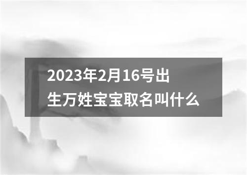 2023年2月16号出生万姓宝宝取名叫什么