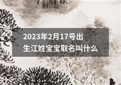 2023年2月17号出生江姓宝宝取名叫什么