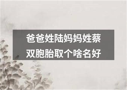 爸爸姓陆妈妈姓蔡双胞胎取个啥名好