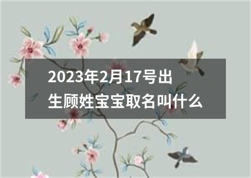 2023年2月17号出生顾姓宝宝取名叫什么