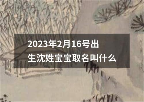 2023年2月16号出生沈姓宝宝取名叫什么
