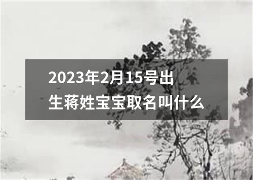 2023年2月15号出生蒋姓宝宝取名叫什么