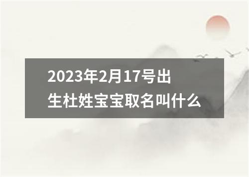 2023年2月17号出生杜姓宝宝取名叫什么