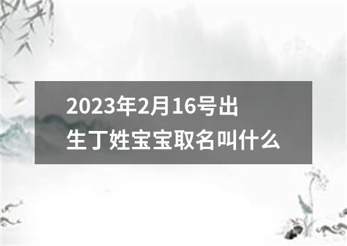 2023年2月16号出生丁姓宝宝取名叫什么