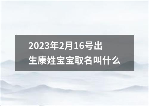 2023年2月16号出生康姓宝宝取名叫什么