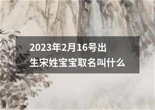 2023年2月16号出生宋姓宝宝取名叫什么