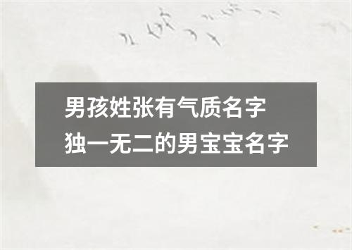 男孩姓张有气质名字 独一无二的男宝宝名字