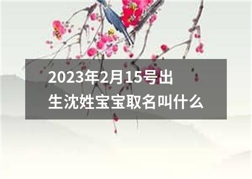 2023年2月15号出生沈姓宝宝取名叫什么