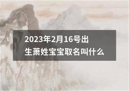 2023年2月16号出生萧姓宝宝取名叫什么