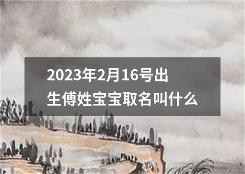 2023年2月16号出生傅姓宝宝取名叫什么