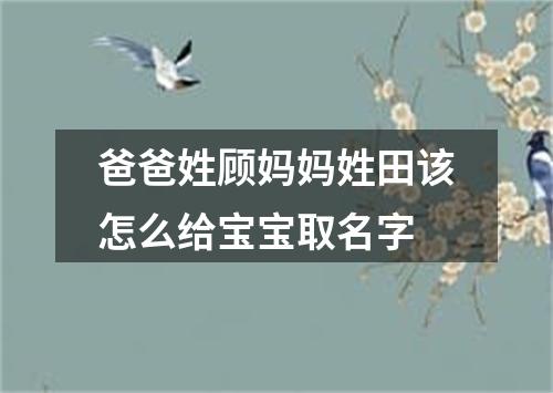 爸爸姓顾妈妈姓田该怎么给宝宝取名字