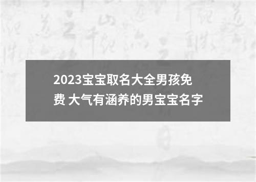 2023宝宝取名大全男孩免费 大气有涵养的男宝宝名字
