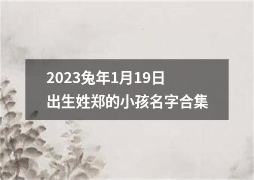 2023兔年1月19日出生姓郑的小孩名字合集