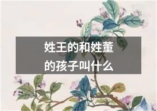 姓王的和姓董的孩子叫什么