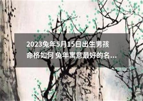 2023兔年5月15日出生男孩命格如何 兔年寓意最好的名字推荐