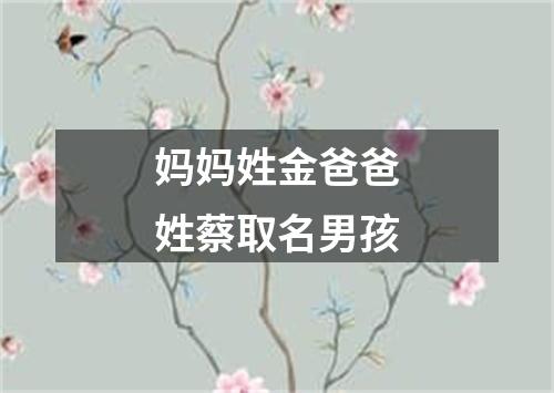 妈妈姓金爸爸姓蔡取名男孩