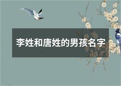 李姓和唐姓的男孩名字