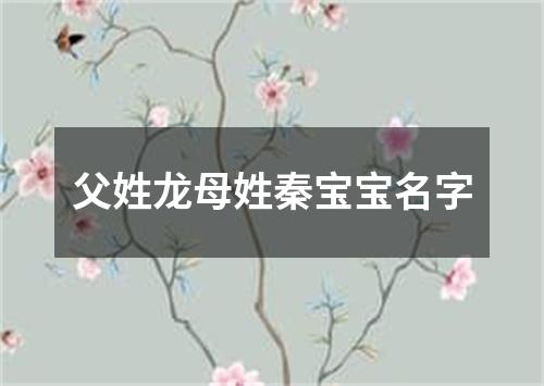 父姓龙母姓秦宝宝名字
