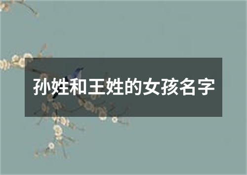 孙姓和王姓的女孩名字