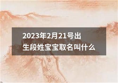 2023年2月21号出生段姓宝宝取名叫什么