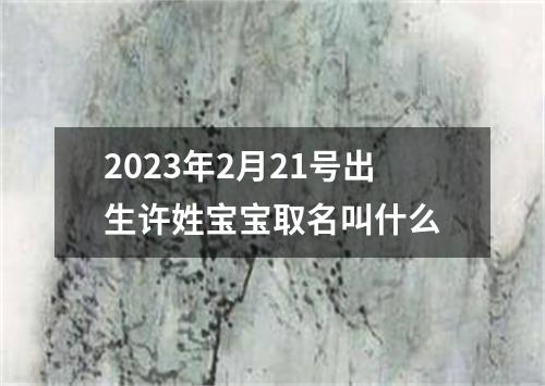 2023年2月21号出生许姓宝宝取名叫什么