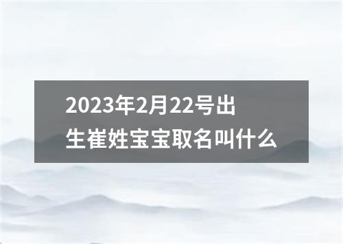 2023年2月22号出生崔姓宝宝取名叫什么