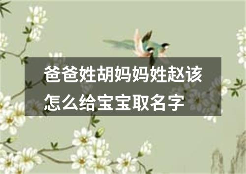 爸爸姓胡妈妈姓赵该怎么给宝宝取名字