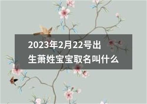 2023年2月22号出生萧姓宝宝取名叫什么