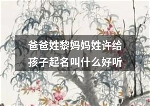 爸爸姓黎妈妈姓许给孩子起名叫什么好听