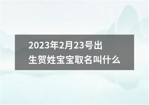 2023年2月23号出生贺姓宝宝取名叫什么