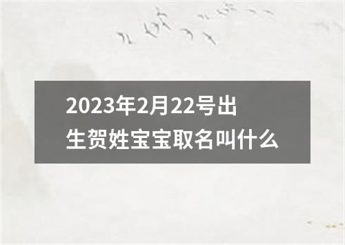 2023年2月22号出生贺姓宝宝取名叫什么