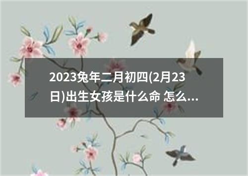 2023兔年二月初四(2月23日)出生女孩是什么命 怎么取名最佳