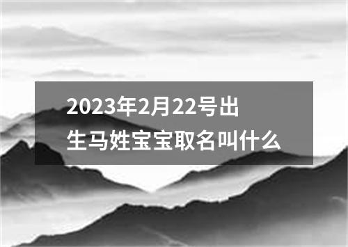 2023年2月22号出生马姓宝宝取名叫什么