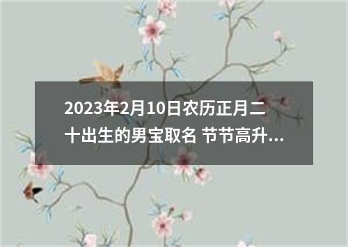 2023年2月10日农历正月二十出生的男宝取名 节节高升的男孩起名