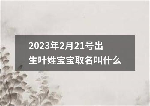 2023年2月21号出生叶姓宝宝取名叫什么