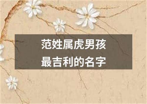 范姓属虎男孩最吉利的名字