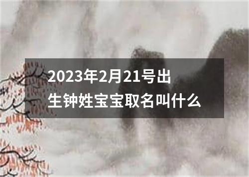 2023年2月21号出生钟姓宝宝取名叫什么