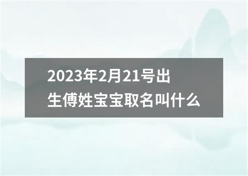 2023年2月21号出生傅姓宝宝取名叫什么