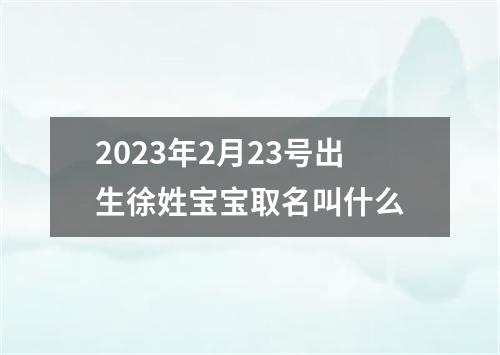 2023年2月23号出生徐姓宝宝取名叫什么