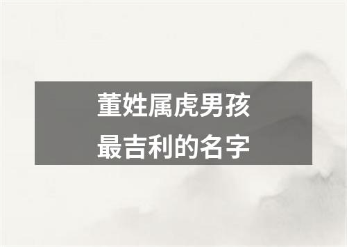 董姓属虎男孩最吉利的名字