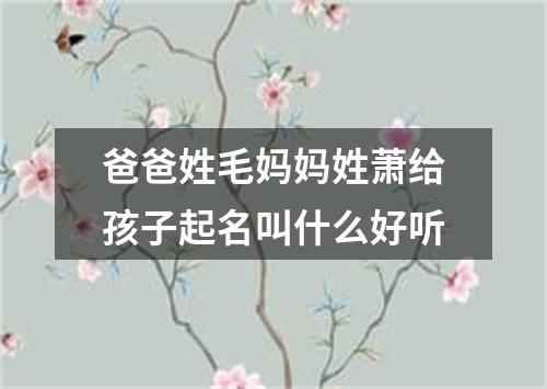 爸爸姓毛妈妈姓萧给孩子起名叫什么好听