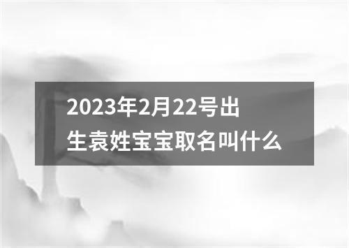 2023年2月22号出生袁姓宝宝取名叫什么