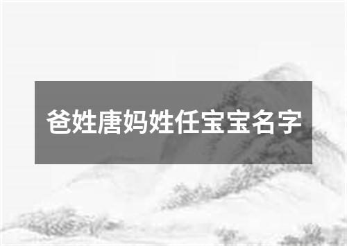 爸姓唐妈姓任宝宝名字